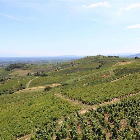 Tiny House Au Coeur Du Vignoble Beaujolais Hotel Фльори Екстериор снимка